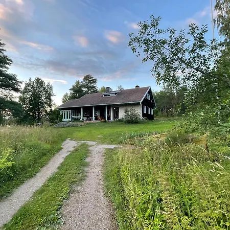 Kurenniemi